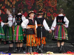 halozgierz_09359