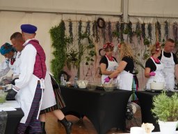 halozgierz_09361