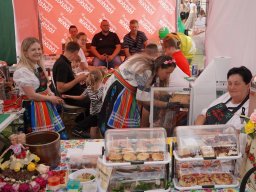 halozgierz_09388