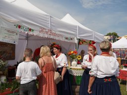halozgierz_09401