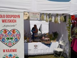 halozgierz_09449