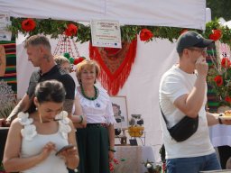 halozgierz_09475