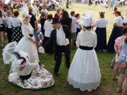 halozgierz_09504