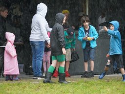 halozgierz_08113