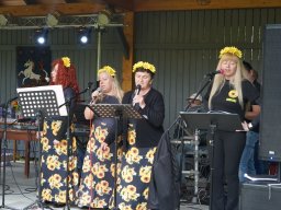 halozgierz_08144