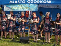 halozgierz_09162